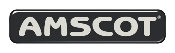 Amscot